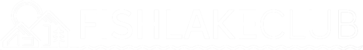 light logo